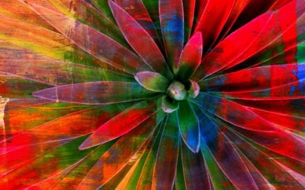 AGAVE abstract