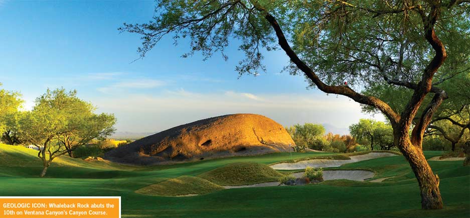 Colorado Avid Golfer Cactus Makes Perfect Tucson